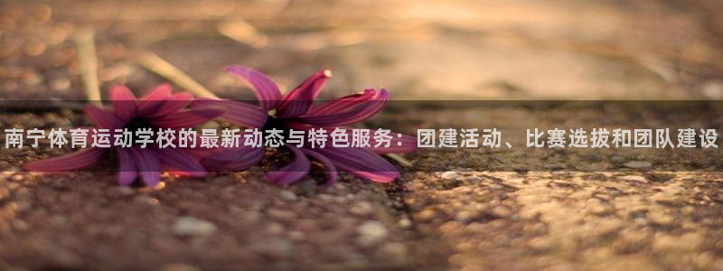 南宁体育运动学校的最新动态与特色服务：团建活动、比赛选拔和团队建设
