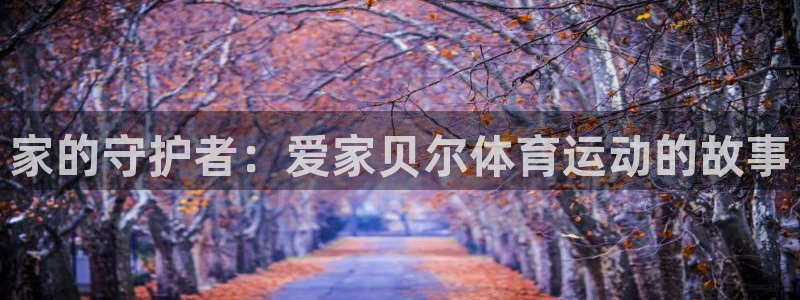家的守护者：爱家贝尔体育运动的故事