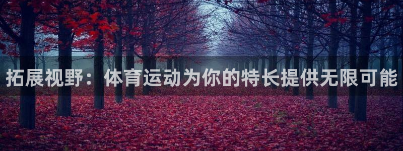 拓展视野：体育运动为你的特长提供无限可能