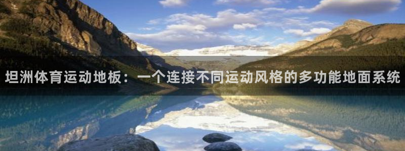 坦洲体育运动地板：一个连接不同运动风格的多功能地面系统