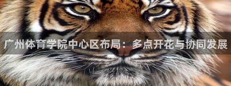 广州体育学院中心区布局：多点开花与协同发展