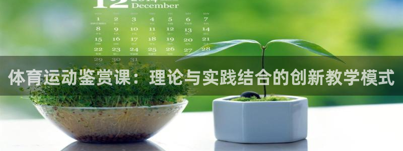 体育运动鉴赏课：理论与实践结合的创新教学模式