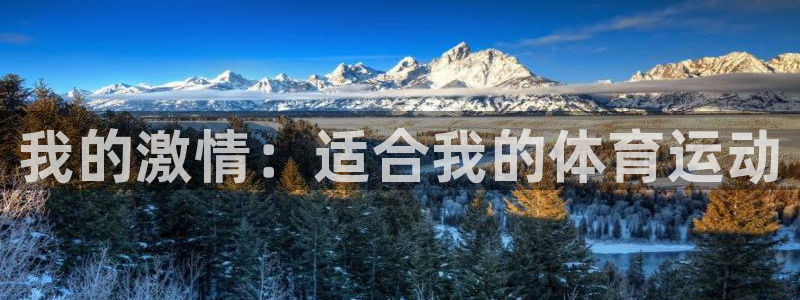 我的激情：适合我的体育运动