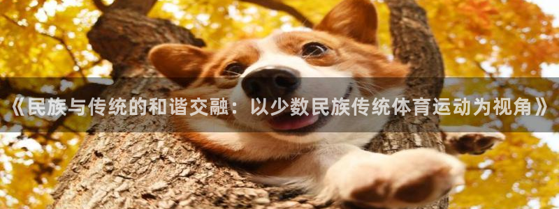 《民族与传统的和谐交融：以少数民族传统体育运动为视角》