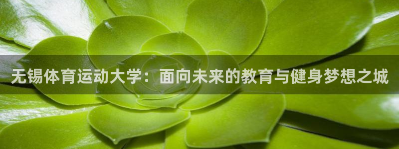 无锡体育运动大学：面向未来的教育与健身梦想之城