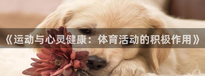 《运动与心灵健康：体育活动的积极作用》