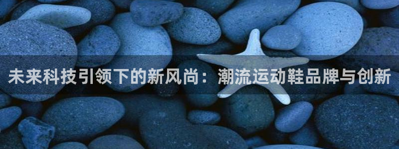 未来科技引领下的新风尚：潮流运动鞋品牌与创新
