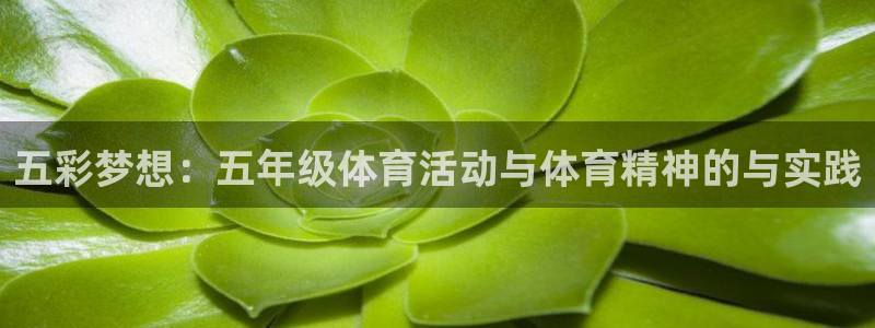 五彩梦想：五年级体育活动与体育精神的与实践
